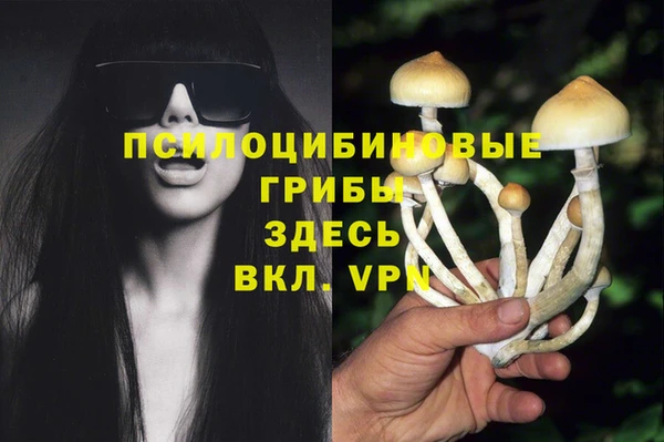 марки nbome Медногорск